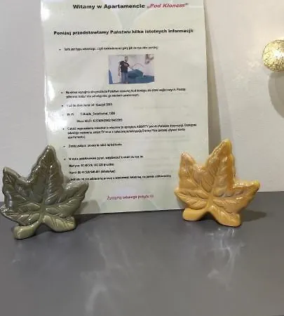 Pod Klonem Apartman Bartoszyce