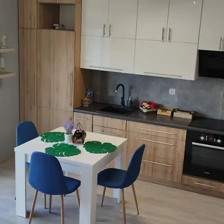 Pod Klonem Apartment Bartoszyce