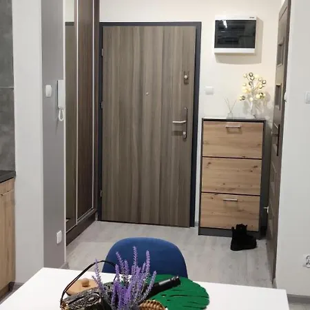 Pod Klonem Apartment