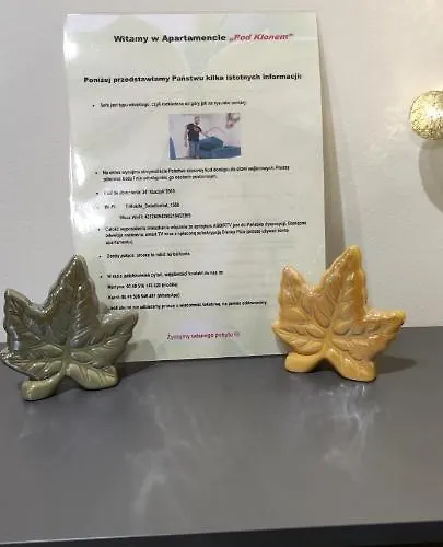 Pod Klonem Apartment Bartoszyce